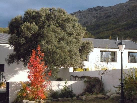 El Hotelito Навалуенга Екстериор снимка